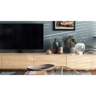 EMPATIA 36 namizna svetilka LED zatemnilna transparentna - 5