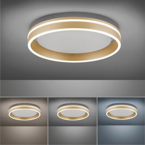 VITO Q ceiling light LED dimmable gold - 4