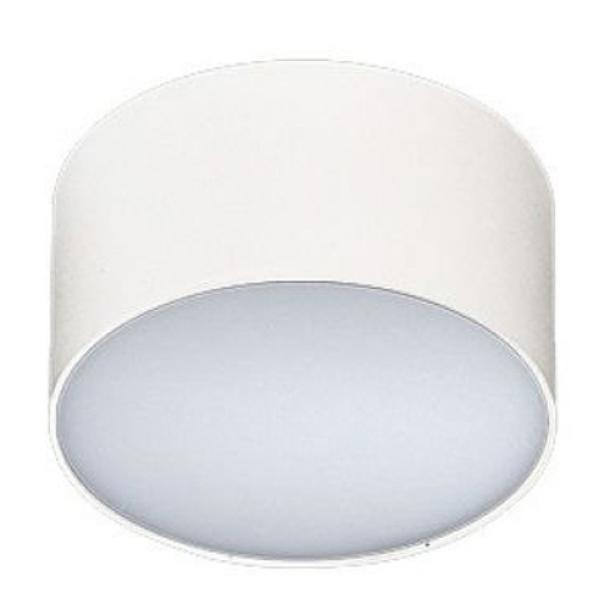 MONZA R 12 stropna svetilka LED 10W toplo bela bela