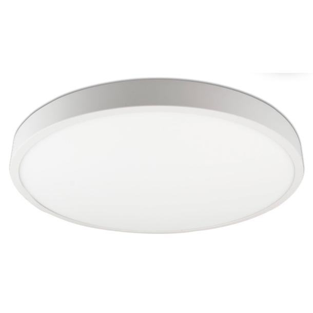 PRO stropna svetilka LED zatemnilna bela