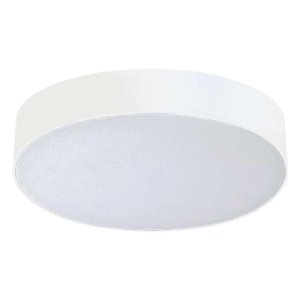 Monza R 40 LED stropna svetilka 50W 4000K bela