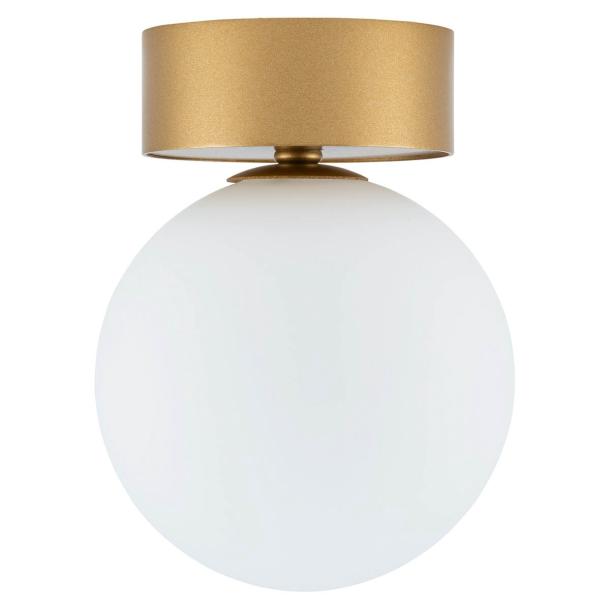 KIER S stropna svetilka G9 okrogla zlata/bela