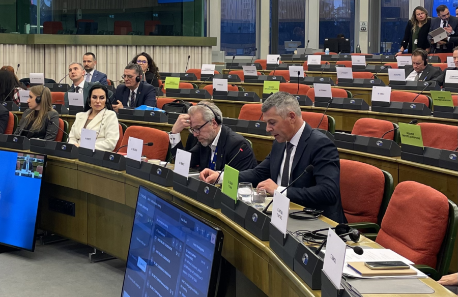 Srečanje skupnega parlamentarnega odbora EU-Srbija (SAPC) v Strasbourgu