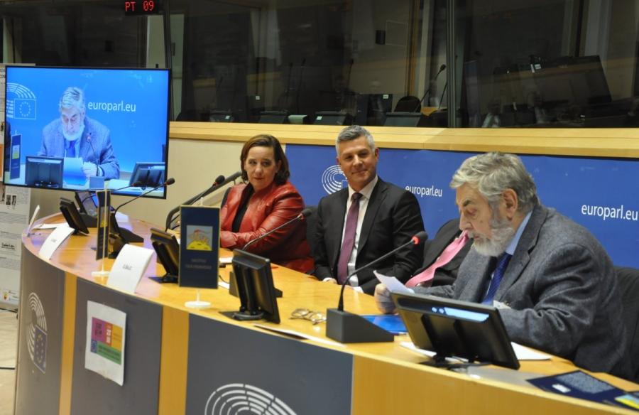 Dogodek v EP o nastanku in pomenu organizacij TIGR in BORBA